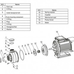 Pompa do brzeczki, wina, piwa DWO B50/025, 220V/50Hz, AISI 304